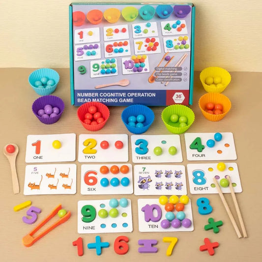Montessori Math Pairing Puzzle